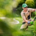 Why Is Important To Clean Your Garden